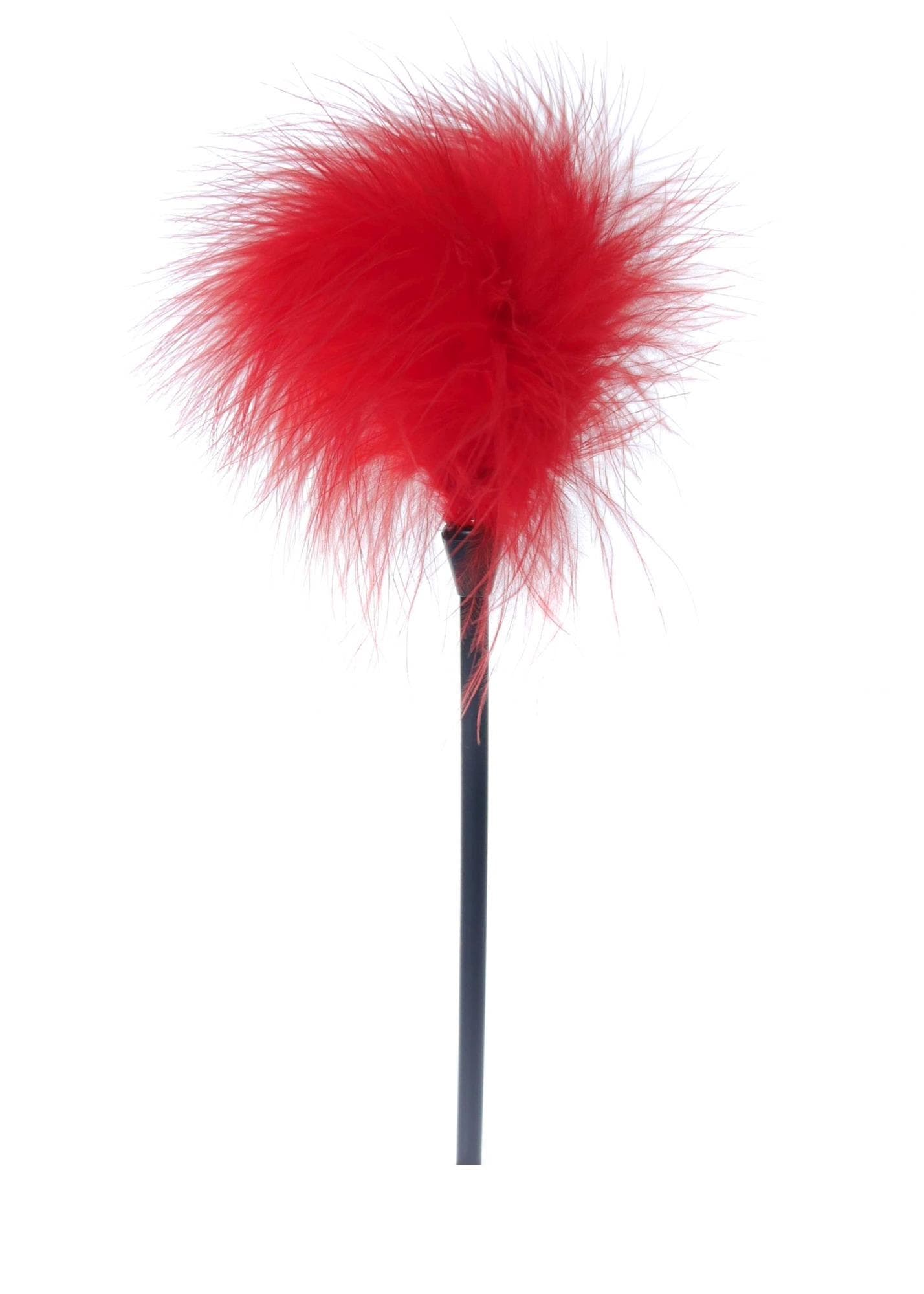 Fetish B-Series Feather — czerwony